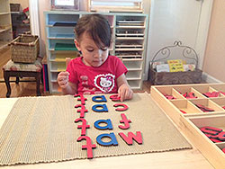 Rainbow Planet Montessori Childcare - Woodland Hills, California